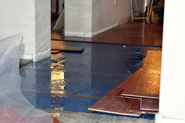 Professional Crawl Space Water Removal technician working in Sibley, MO
